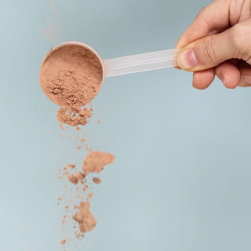 Proteína de Caldo de Huesos Sabor Chocolate
